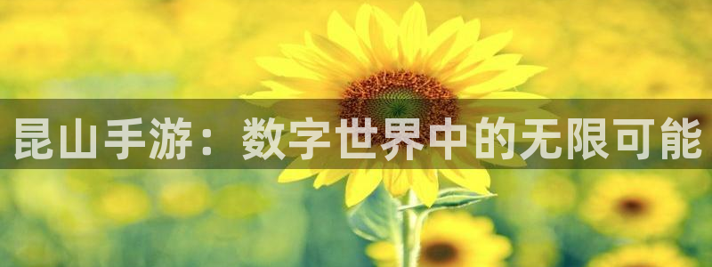 极悦娱乐pc蛋蛋在线预测：昆山手游：数字世界中的无限可能