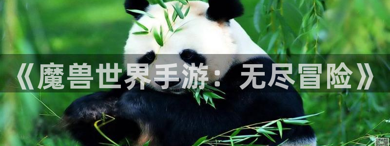 极悦娱乐加拿大：《魔兽世界手游：无尽冒险》