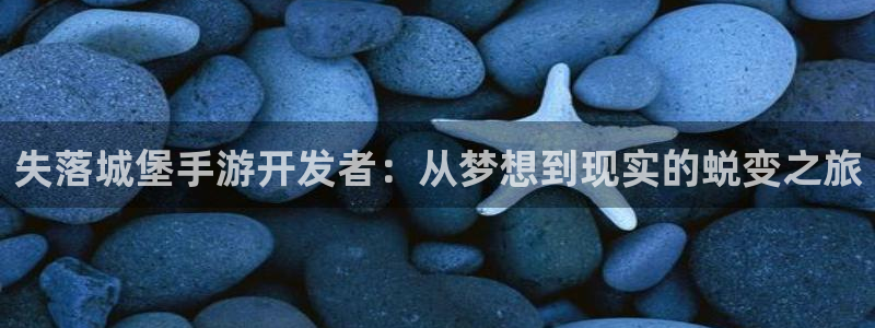 pc极悦娱乐下载：失落城堡手游开发者：从梦想到现实的蜕变之旅