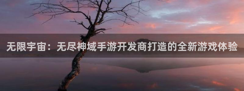 极悦娱乐怎么上不去了：无限宇宙：无尽神域手游开发商打造的全新