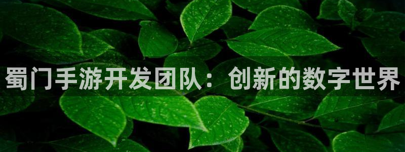 极悦娱乐预测网最新版本更新内容：蜀门手游开发团队：创新的数字