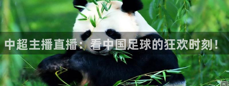球神直播免费直播：中超主播直播：看中国足球的狂欢时刻！