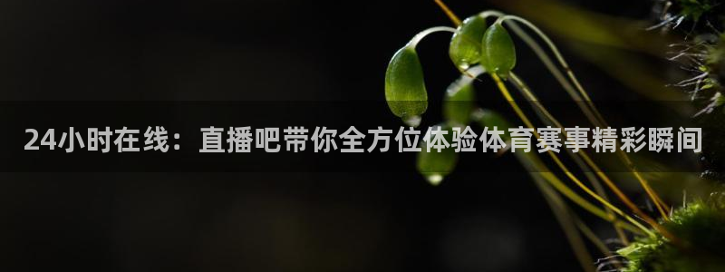 球神直播体育在线观看网址：24小时在线：直播吧带你全方位体验体育赛事精彩瞬间