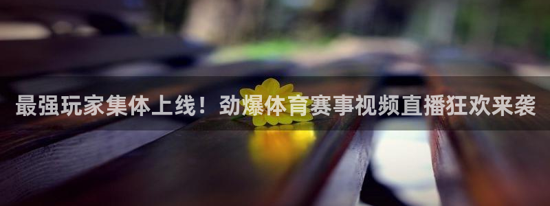 球神体育在线直播：最强玩家集体上线！劲爆体育赛事视频直播狂欢来袭
