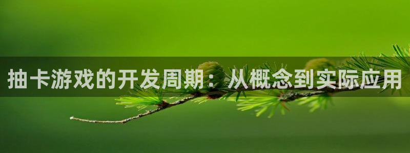 pc极悦娱乐app官网下载：抽卡游戏的开发周期：从概念到实际