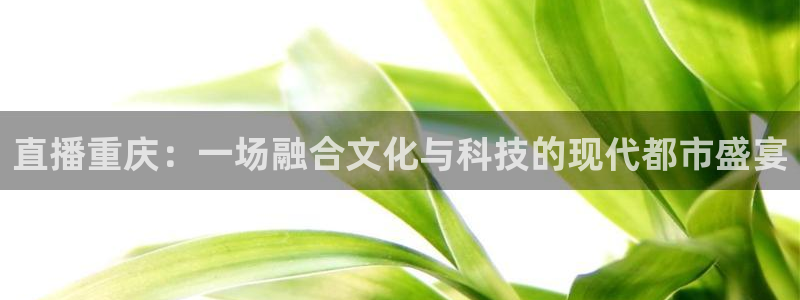 球神直播体育在线观看网站：直播重庆：一场融合文化与科技的现代都市盛宴