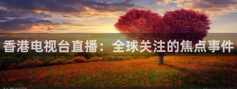 球神在线直播：香港电视台直播：全球关注的焦点事件