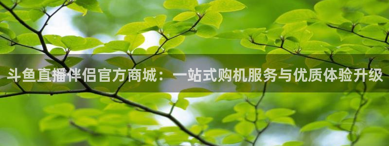 球神直播足球：斗鱼直播伴侣官方商城：一站式购机服务与优质体验升级