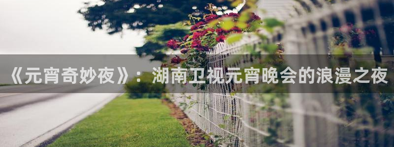 黑白直播免费高清看球神器：《元宵奇妙夜》：湖南卫视元宵晚会的浪漫之夜